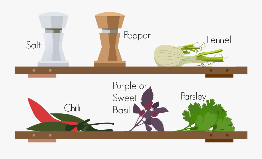 Seasonings Laid Out On A Bench, Transparent Clipart