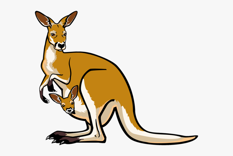 Clipart Picture Of Kangaroo, Transparent Clipart