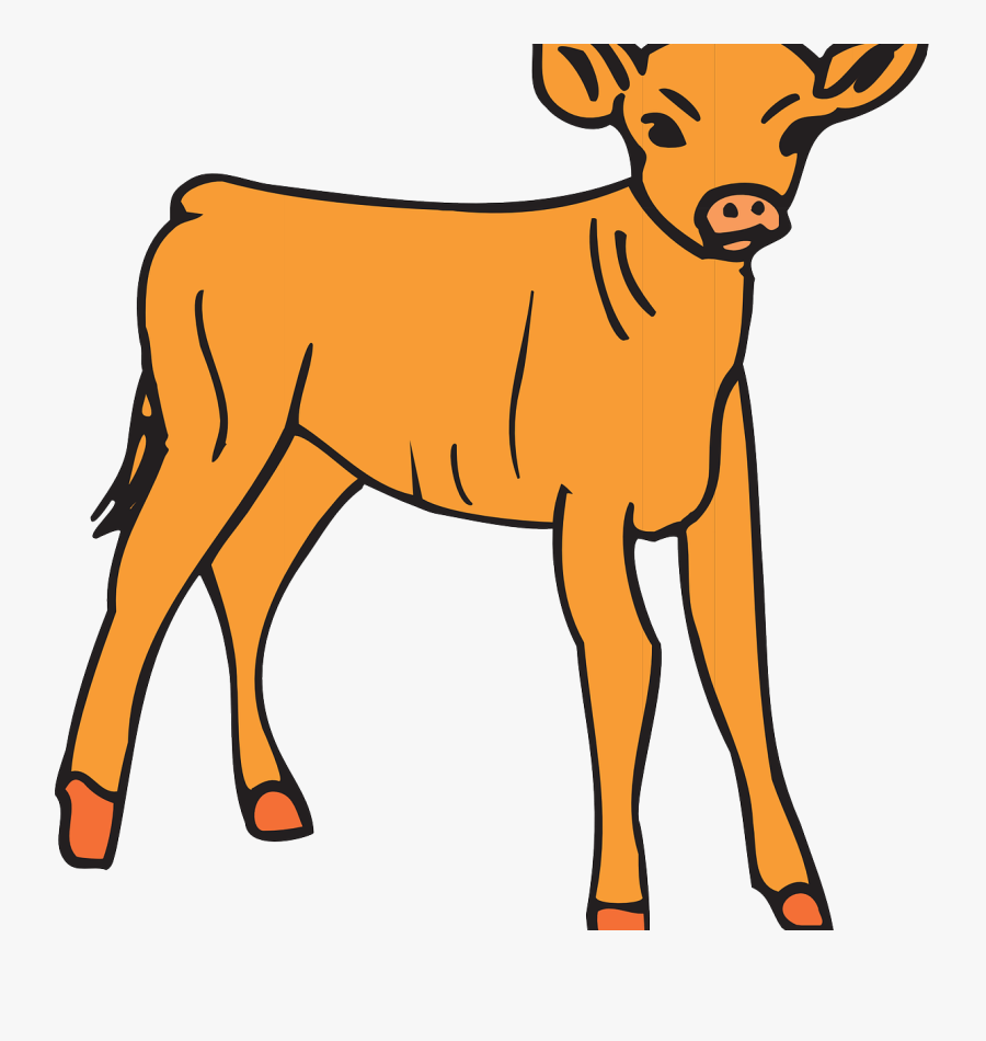 Clip Art Golden Calf Clipart - Calf Clipart Black And White, Transparent Clipart