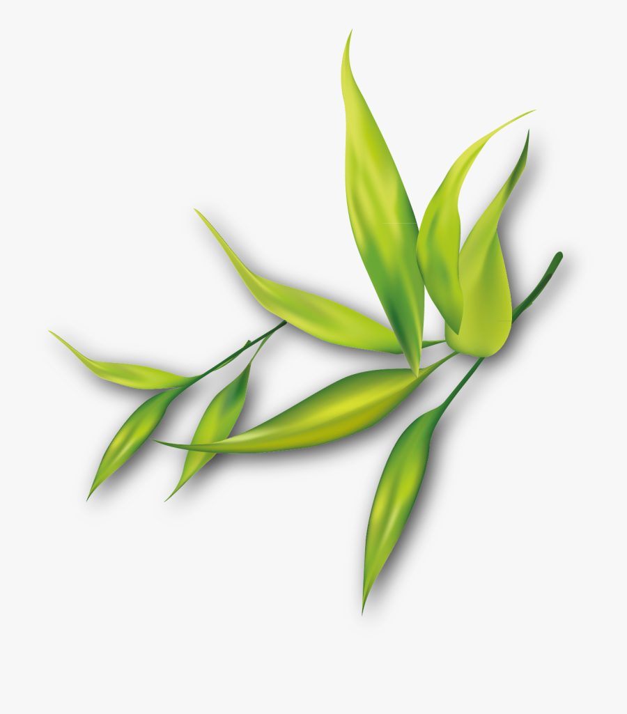 Painting Clip Art Transprent Png Free - Encapsulated Postscript, Transparent Clipart