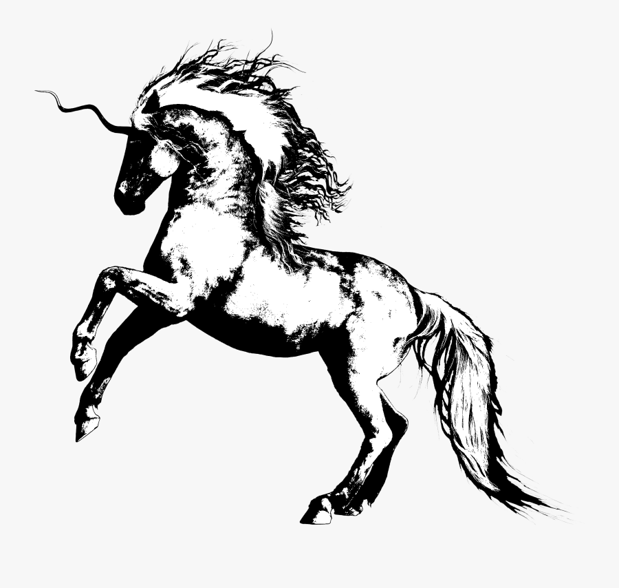 Mane, Transparent Clipart