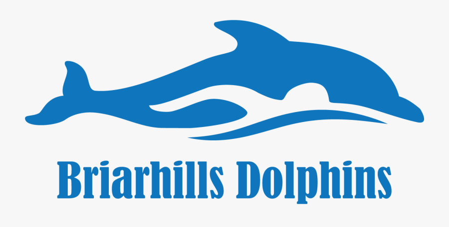 Briarhills Dolphins Swim Team Logo, Transparent Clipart