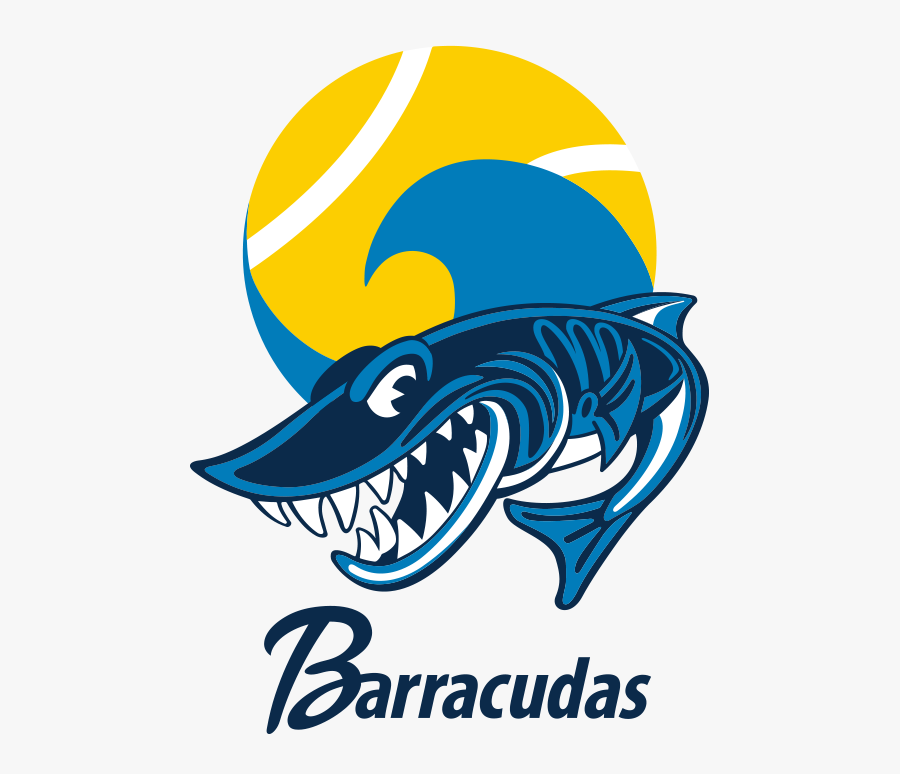 Picture, Transparent Clipart