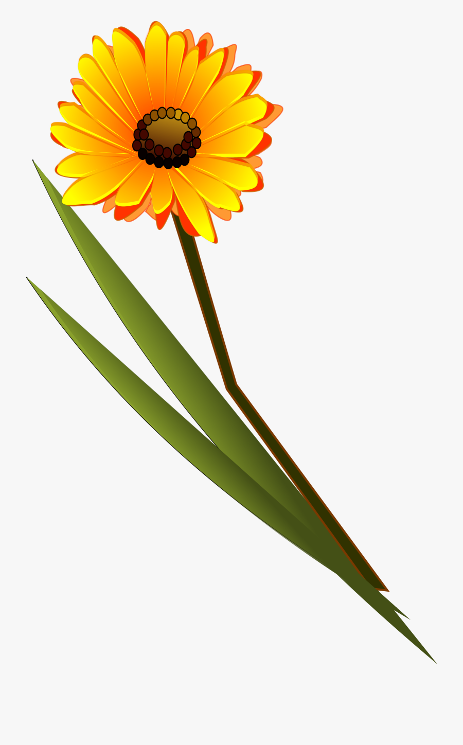 Flowers Gerbera - Single Flower Image For Thank You, Transparent Clipart