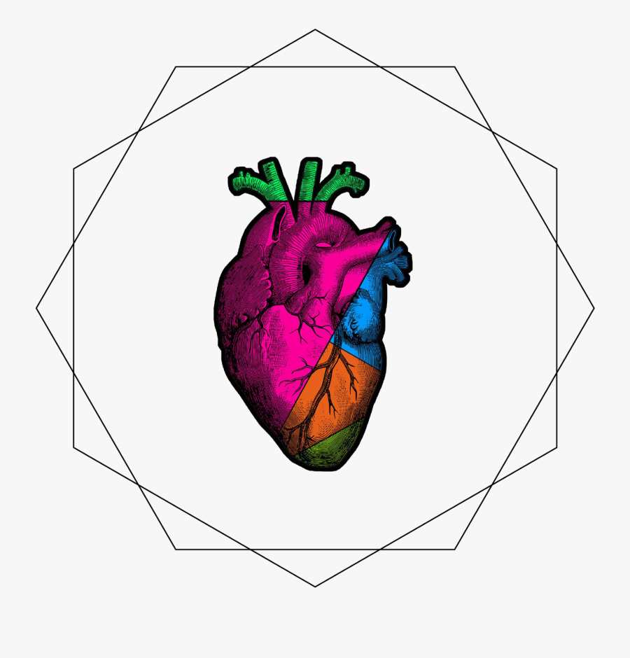 Illustration, Transparent Clipart