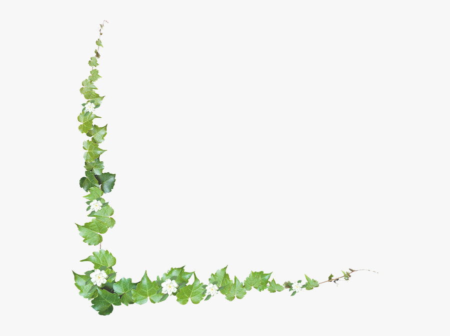 Clip Art Common Grape Vine Portable Network Graphics - Grape Vine Border Png, Transparent Clipart