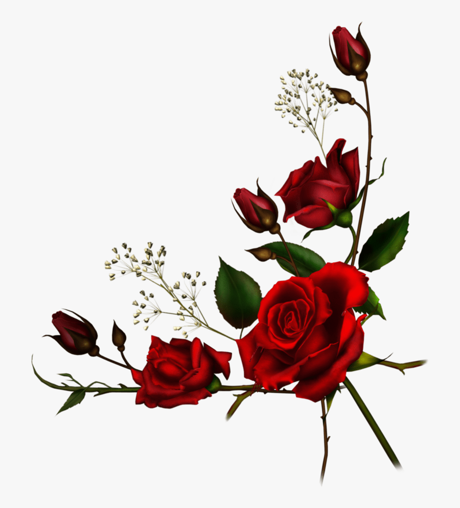 Transparent Vine Border Clipart - Transparent Red Rose Border, Transparent Clipart