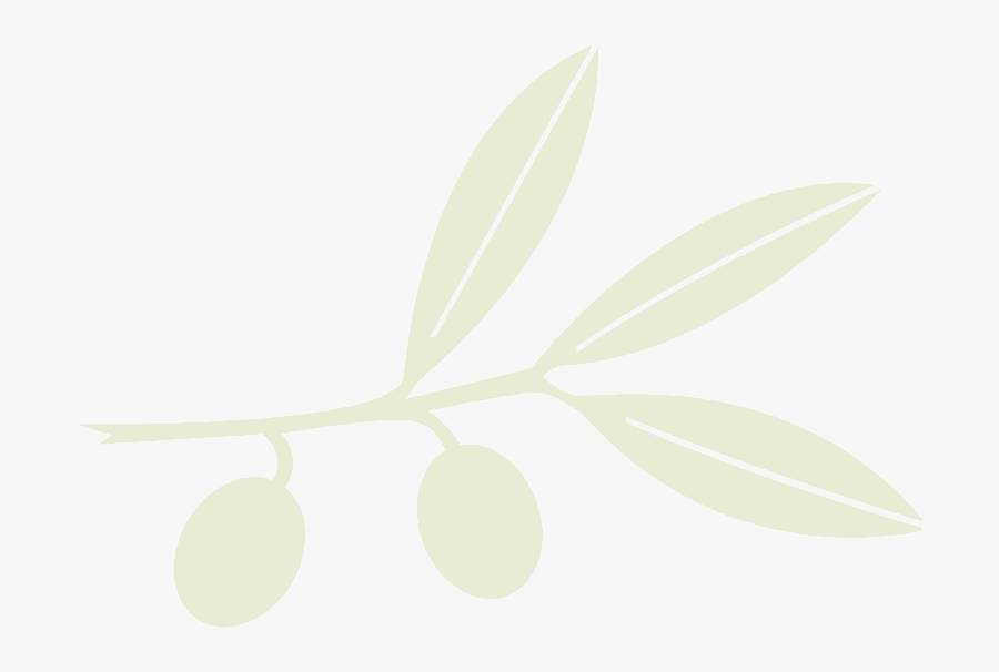Olive Clipart Eucalyptus - Olives, Transparent Clipart