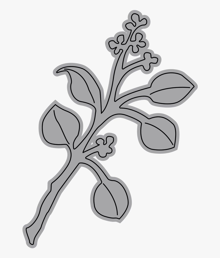 Eucalyptus Frosty Fern - Line Art, Transparent Clipart