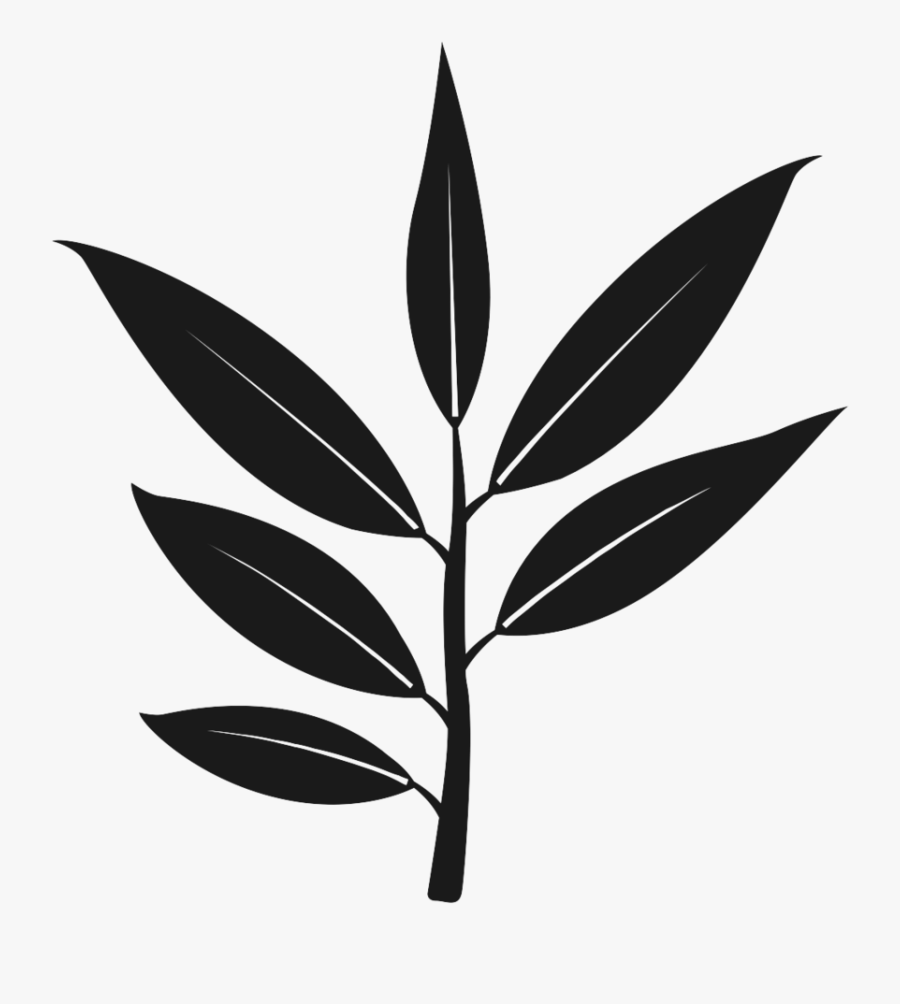 Eucalyptus & Spearmint - Eucalyptus Tree Icon Png, Transparent Clipart
