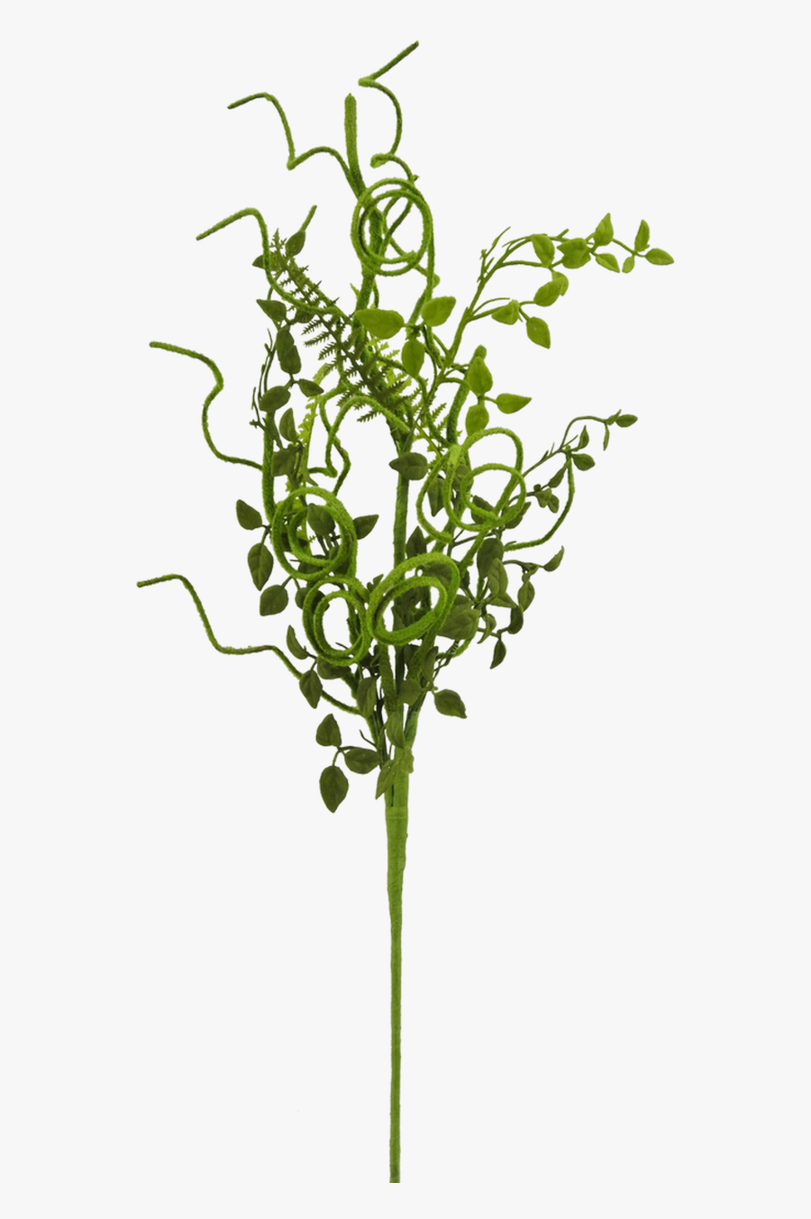 28 - Grass, Transparent Clipart