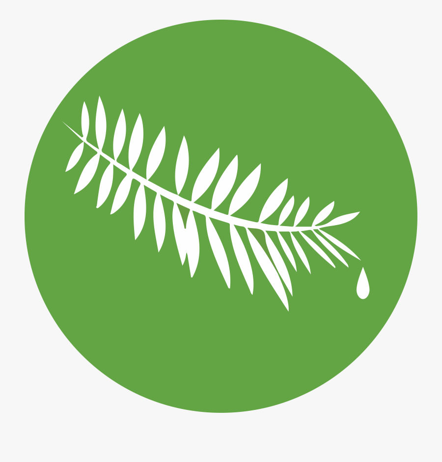 Leaf Water Droplet - Illustration, Transparent Clipart