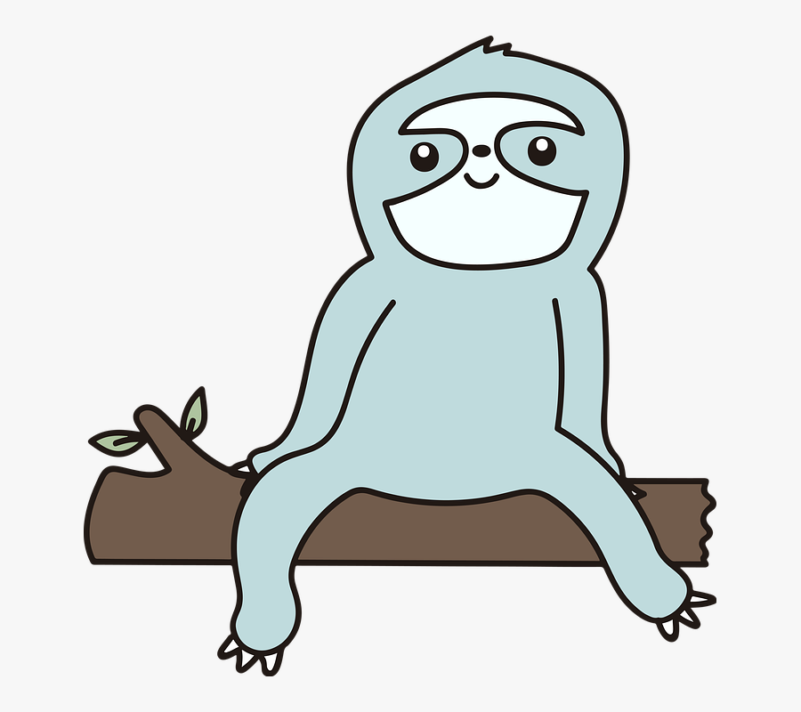 Sloth Bear, Animal, Cartoon, Tree, Branch, Eucalyptus, Transparent Clipart