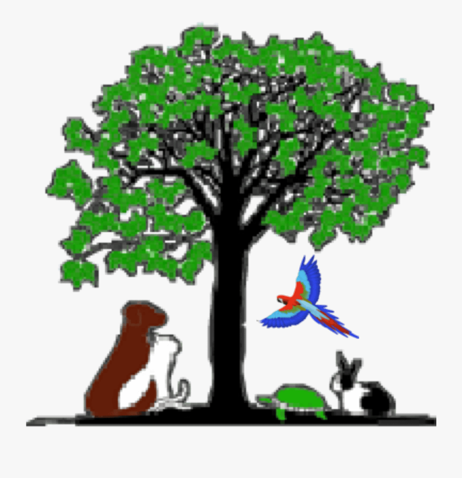 Como Park Animal Hospital, Transparent Clipart