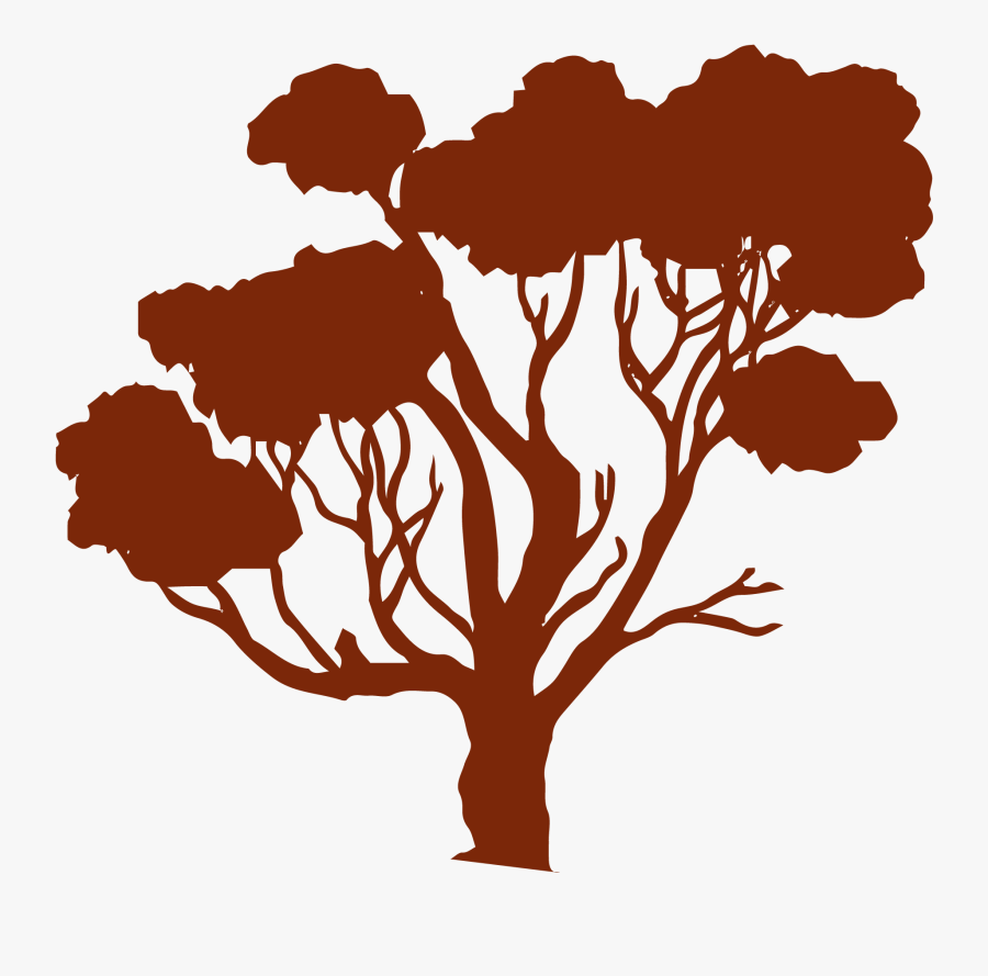 Australian Tree Vector, Transparent Clipart