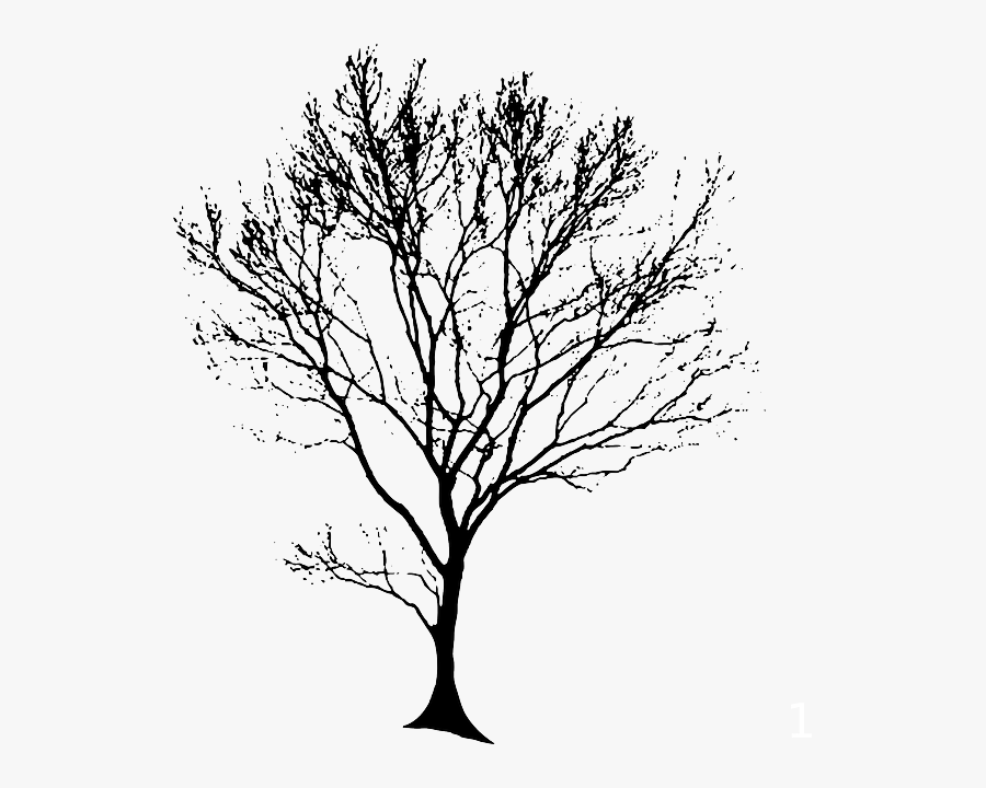 Tree Line Drawing Png, Transparent Clipart