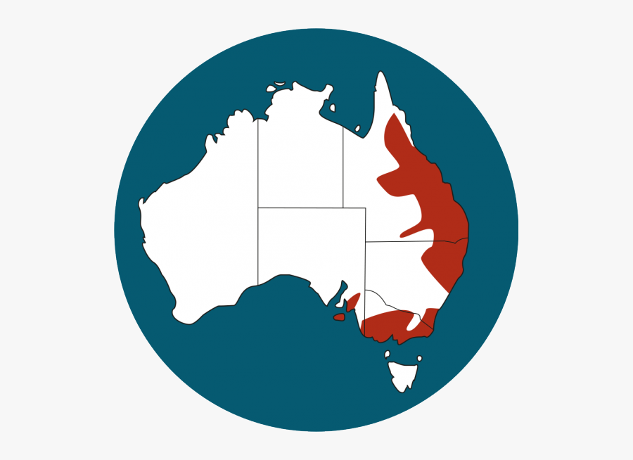Australia Map Vector Free, Transparent Clipart