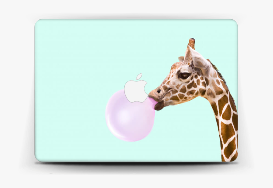 Giraffe With A Chewing Gum Skin Macbook Air 13” - Giraffe Blowing Bubble Gum, Transparent Clipart