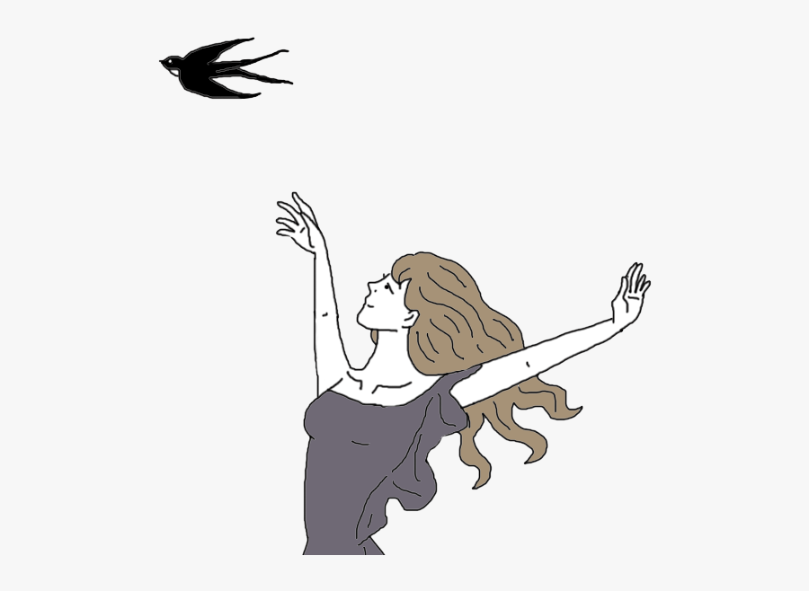 Transparent Swallow Clipart - Illustration, Transparent Clipart