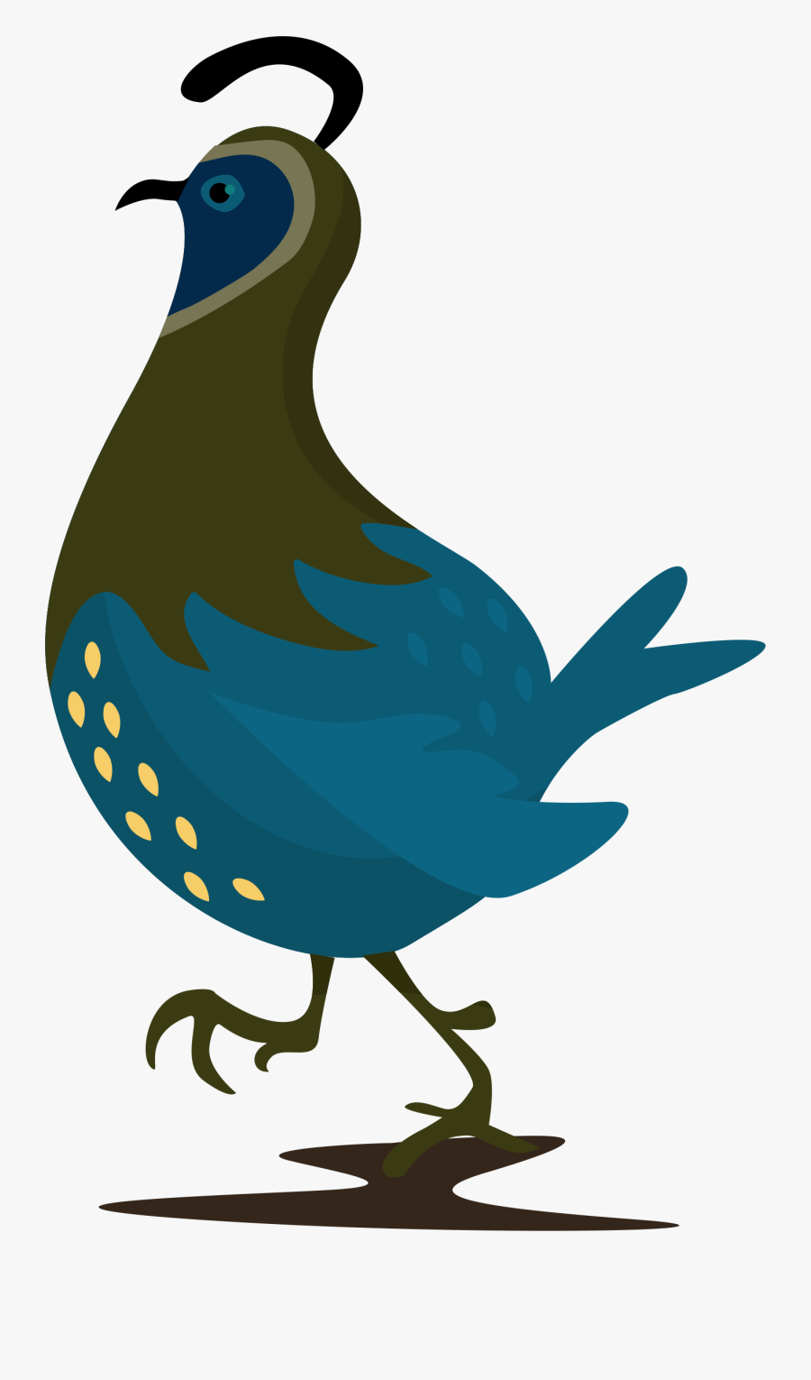 Quail Clipart Quail Family Cartoon Quail Clipart Transparent Png