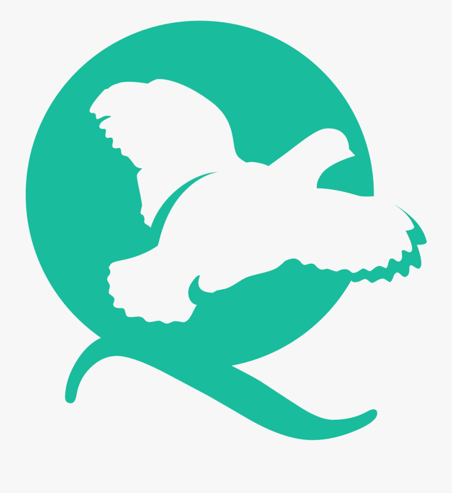Quail Creek Bank Q Logo - Quail Creek Bank Logo, Transparent Clipart