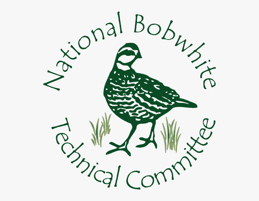 National Bobwhite Technical Committee, Transparent Clipart