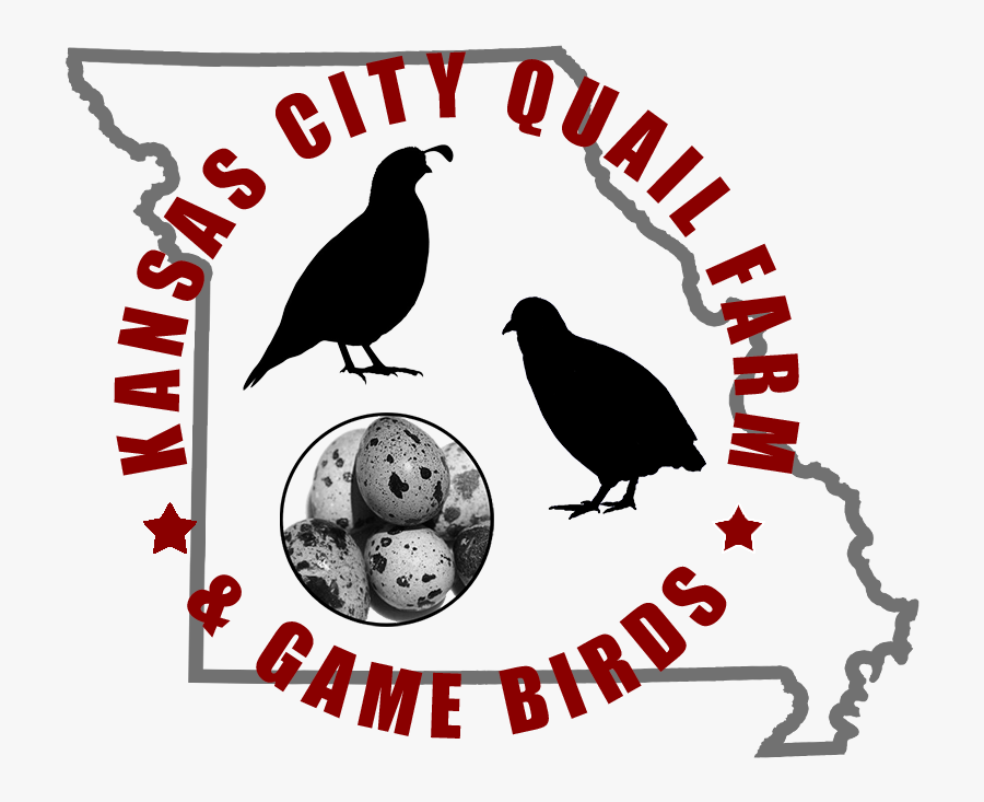Kc Quail Farm, Transparent Clipart