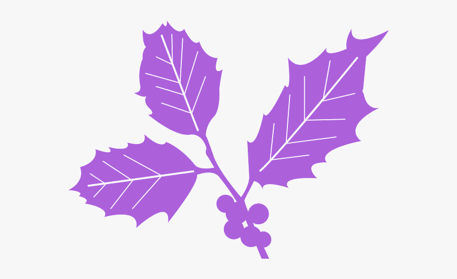 Holly Ivy Silhouette, Transparent Clipart