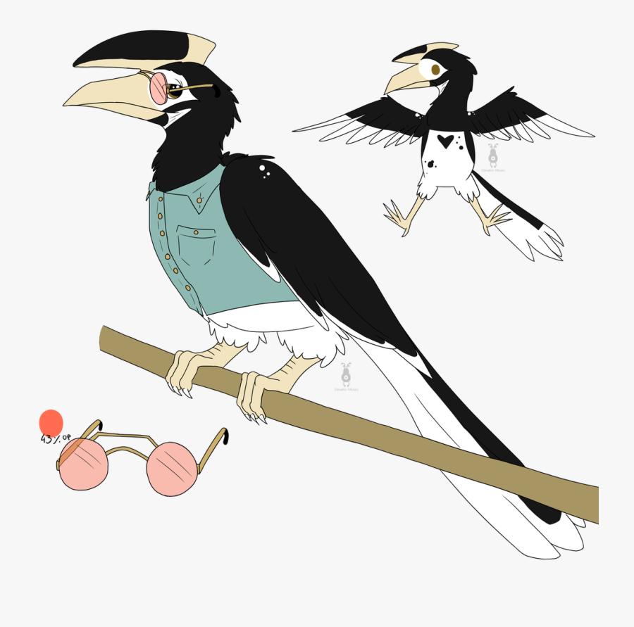 Hornbill, Transparent Clipart