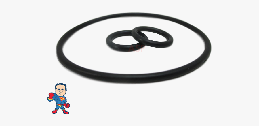 Circle, Transparent Clipart