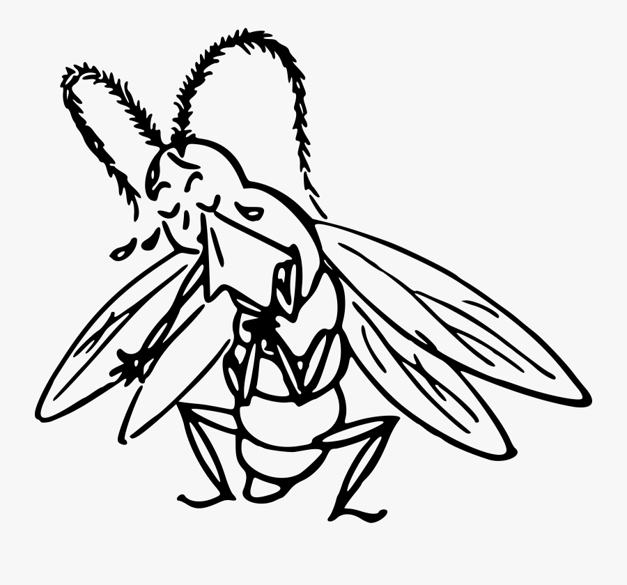 Crying Insect Clip Arts - Drawing, Transparent Clipart
