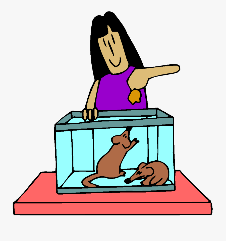 Crying Clipart Infancy Stage - Animal, Transparent Clipart
