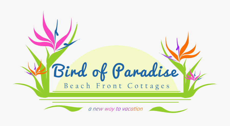 Bird Of Paradise Beach Front Cottages, Transparent Clipart