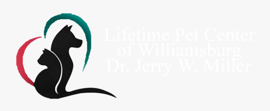 Round Optometry Logo - Black And White, Transparent Clipart