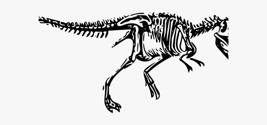 Tyrannosaurus Rex Clipart Svg - Drawn T Rex Skeleton, Transparent Clipart