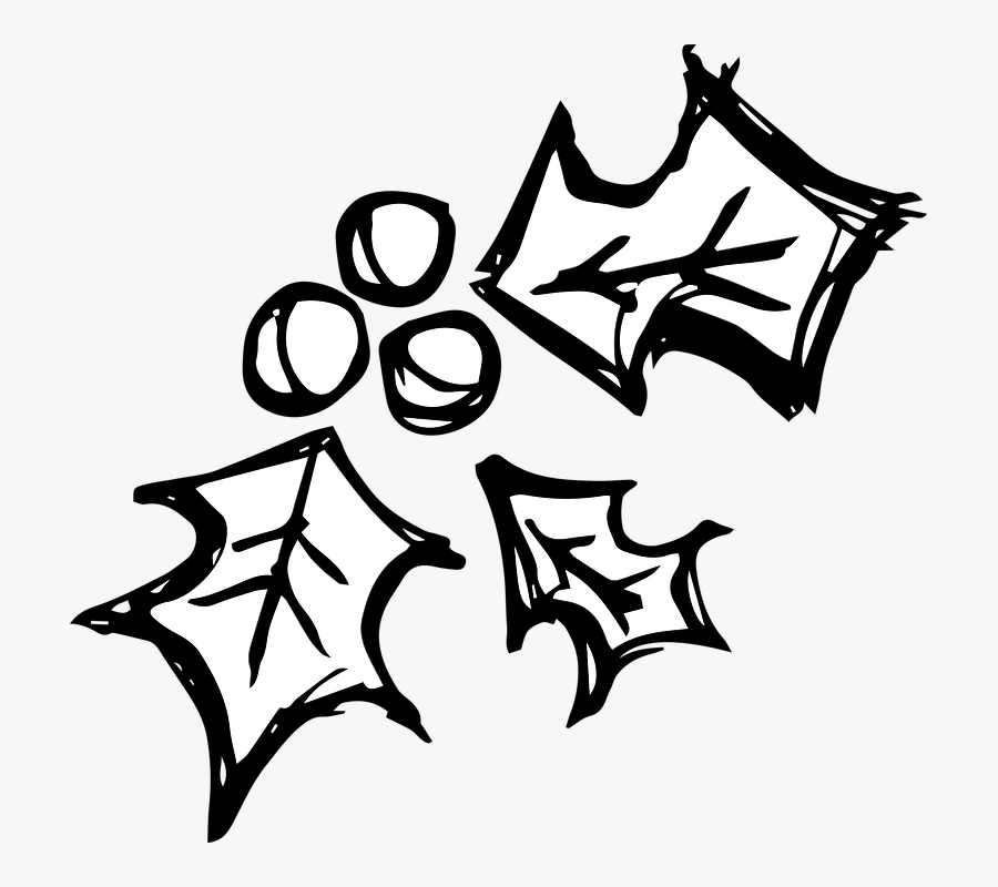 Holly Berries, Sketch, Christmas, Winter, Holiday - Illustration, Transparent Clipart