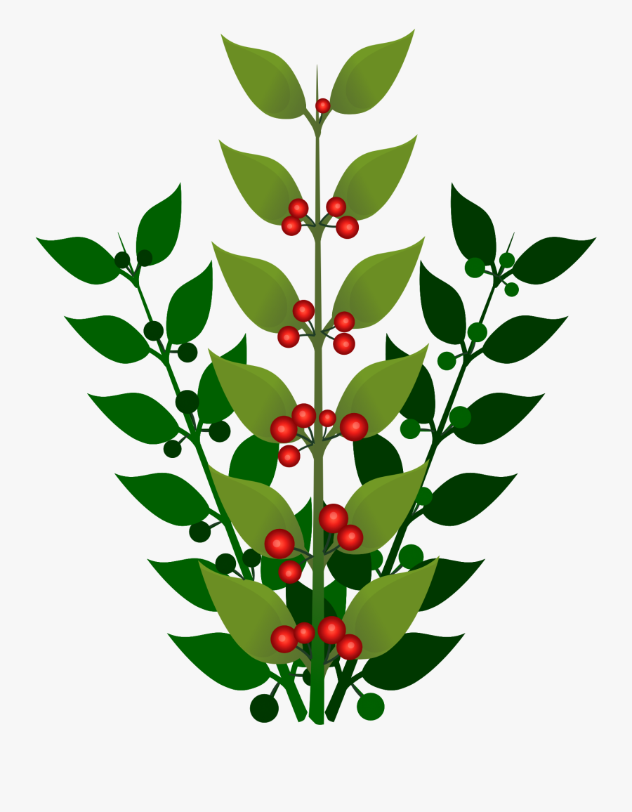 A Simple Branch With Berries Clip Arts - Berry Bush No Background, Transparent Clipart