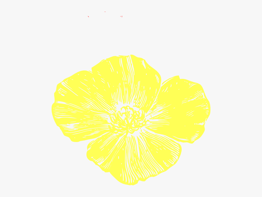California Golden Poppy Drawing, Transparent Clipart