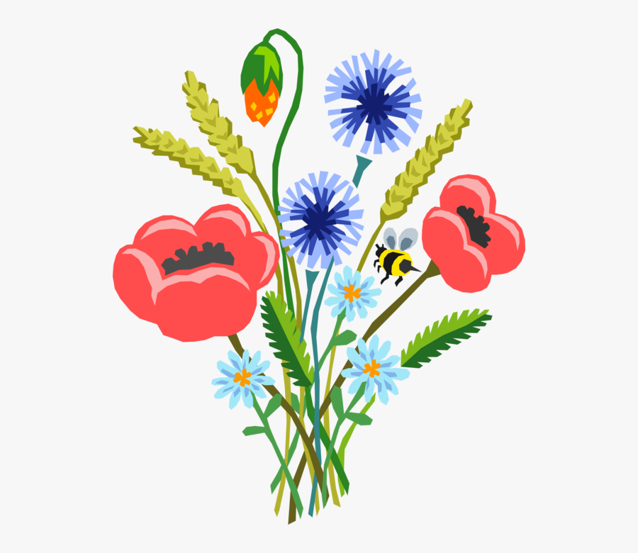 Poppies Vector Real - Allergy, Transparent Clipart