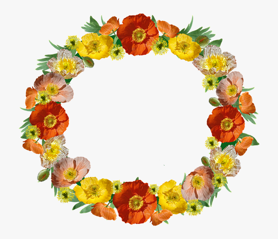 Poppies Flowers Wreath Border Floral Frame 対人 運 アップ 待ち受け Free Transparent Clipart Clipartkey