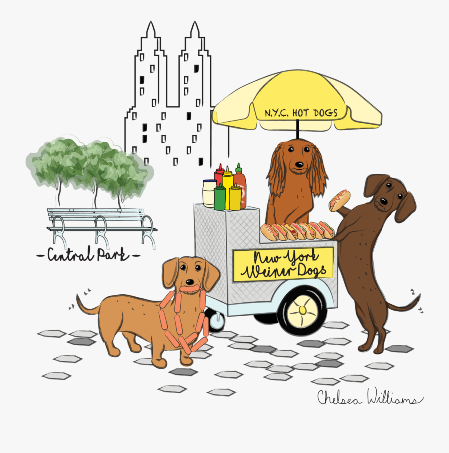 Cartoon, Transparent Clipart