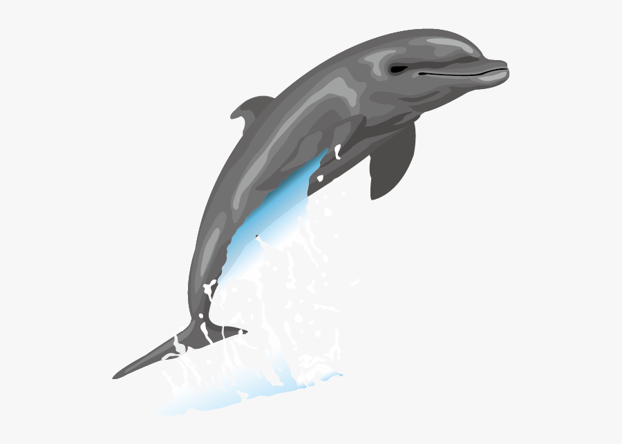 Transparent Cute Dolphin Clipart - Vector Clipart Dauphin, Transparent Clipart