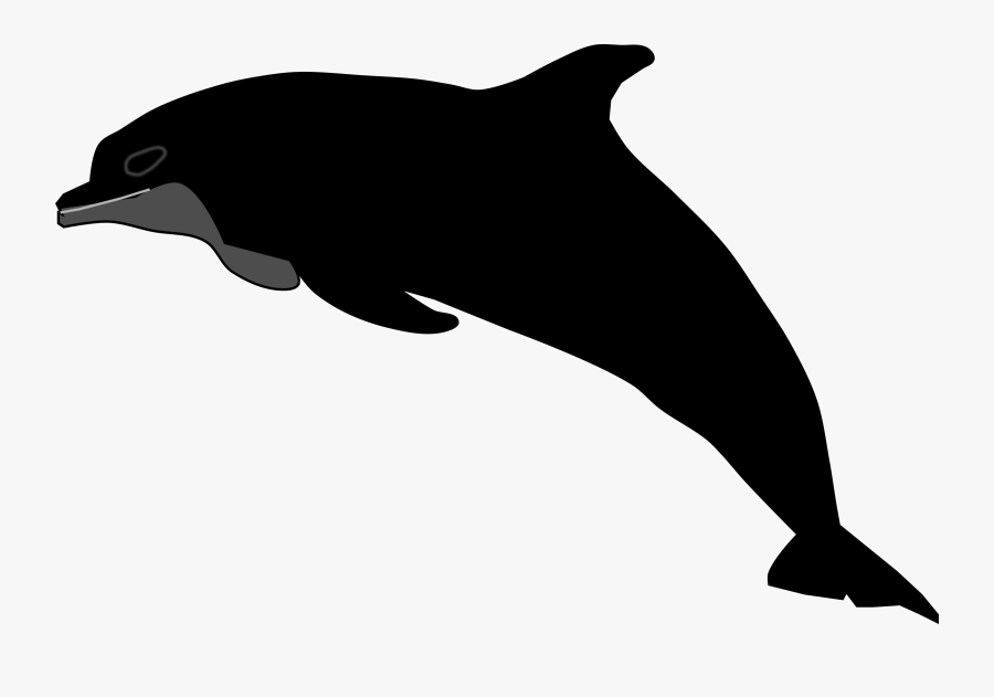 Shortbeaked Common Dolphin,tucuxi,wholphin - Wholphin, Transparent Clipart