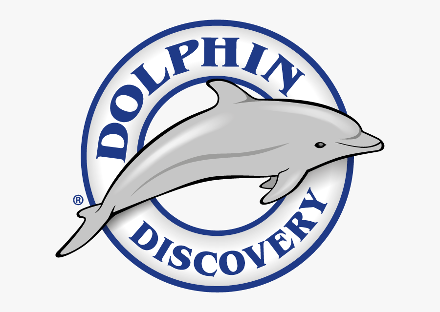 Win And Swim With - Dolphin Discovery, Transparent Clipart