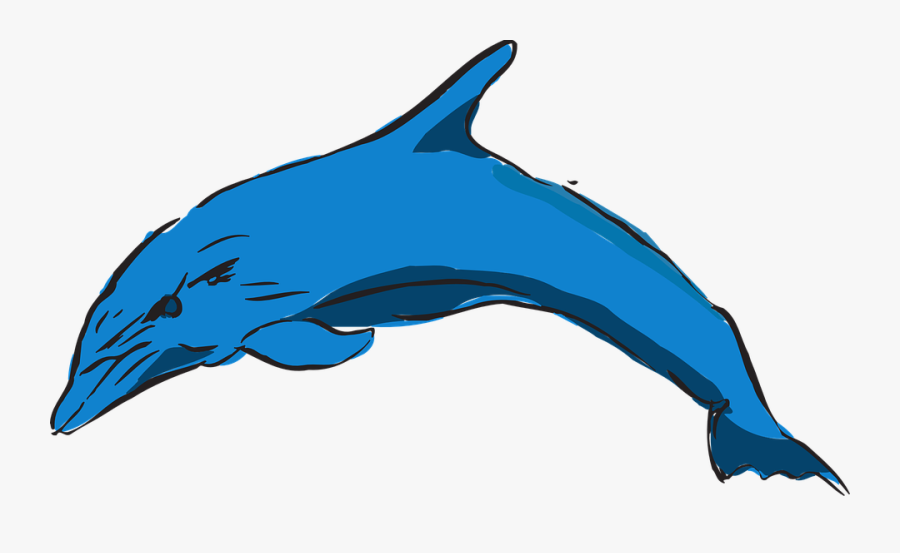 Dolphin, Blue, Ocean, Leaping, Creature, Sea, Marine - ปลาโลมา สี น้ำ, Transparent Clipart