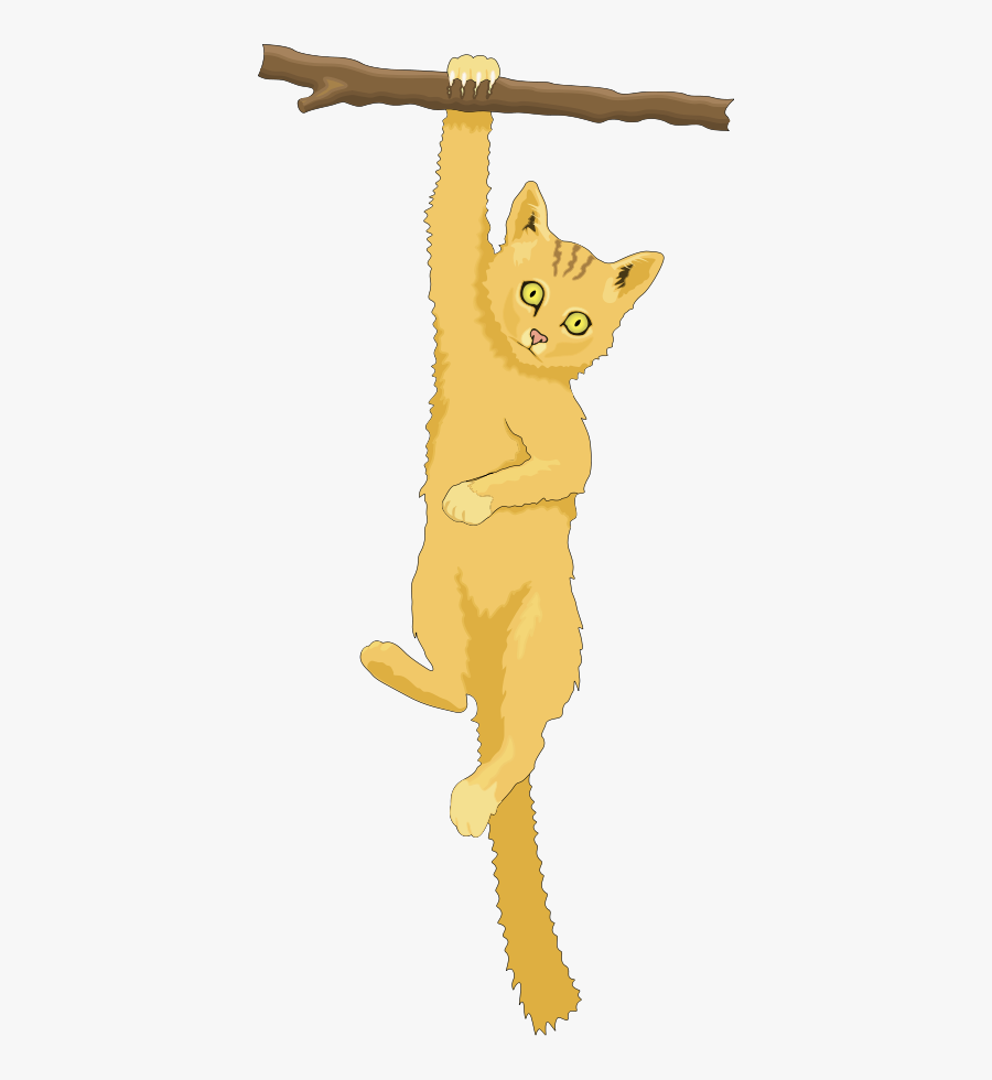 Transparent Climbing Clipart - Clipart Cat In A Tree, Transparent Clipart
