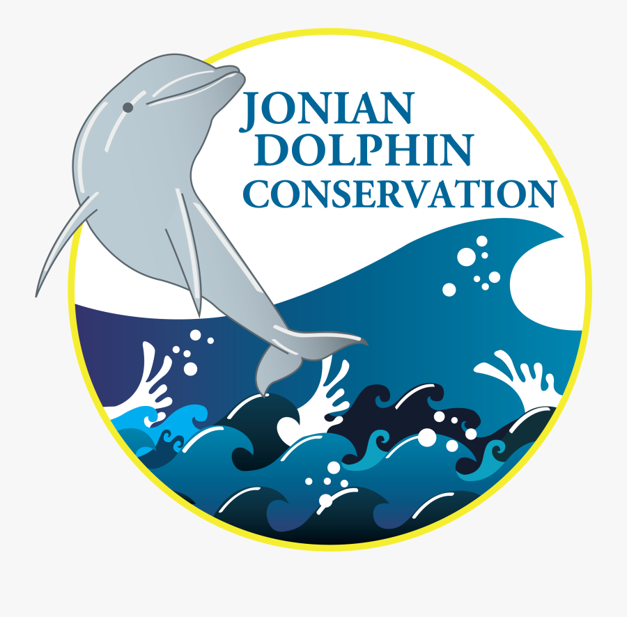 Jonian Dolphin Conservation, Transparent Clipart