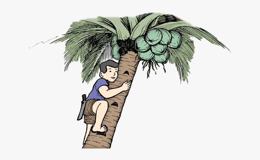 Filipino Coconut Tree Art, Transparent Clipart