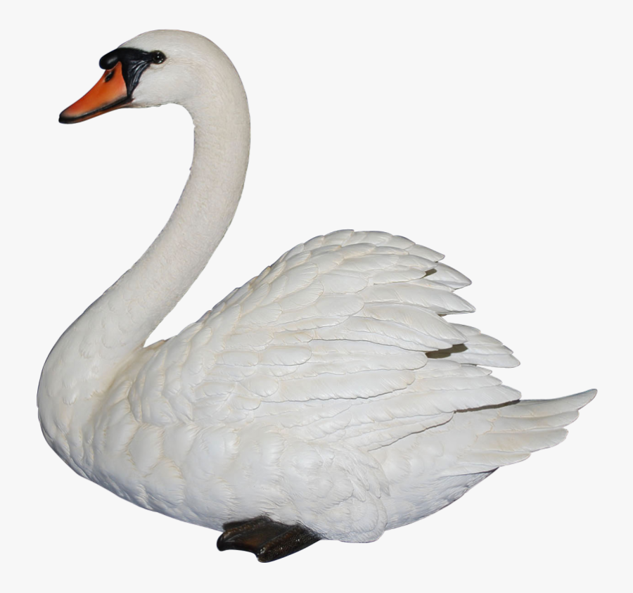 Swan Clip Art - Transparent Background Swan Transparent, Transparent Clipart
