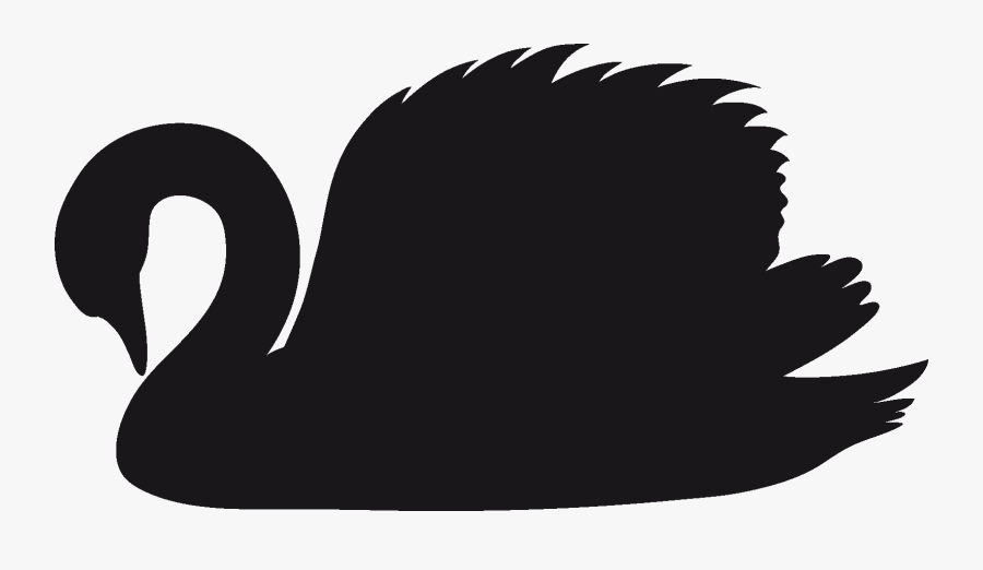 Clip Art,black Swan,swan,graphics,wing - Black And White Swan Png